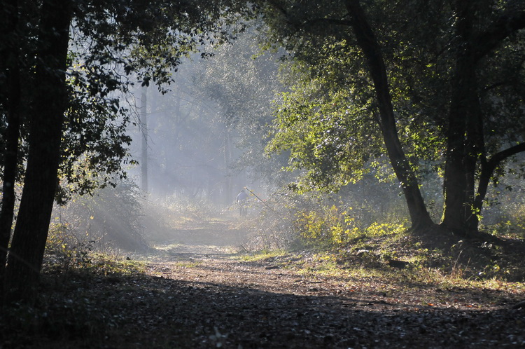 Parco di San Rossore - un anno dopo